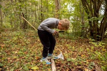 En miljøagent med forstørrelsesglass står fremoverbøyd og leter etter insekter på skogbunnen. Fotografi.