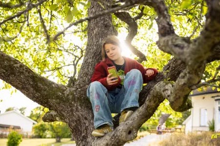 En jente sitter i et tre. Hun ser på mobiltelefonen sin. Jenta har på seg en rød jakke, miljøagent t-skjorte, olabukser og gule sko. Sola skinner gjennom grenene på treet, det er sommer.